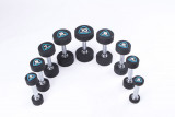 Гантели в уретане LIVEPRO Studio Dumbbells 1 кг, черный/синий