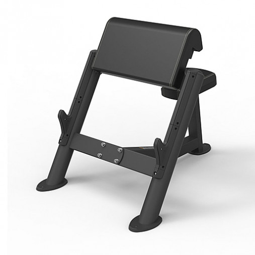 Скамья Скотта Spirit SP-4206 Скамья Скотта Spirit SP-4206