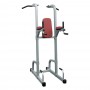 Поднятие колений / турник / брусья AeroFit IF IFPT