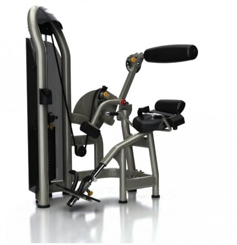 Разгибание спины Matrix G3 S52