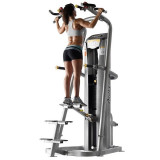 Hoist RS-1700 Подтягивание, Отжимание с помощью (гравитрон) black